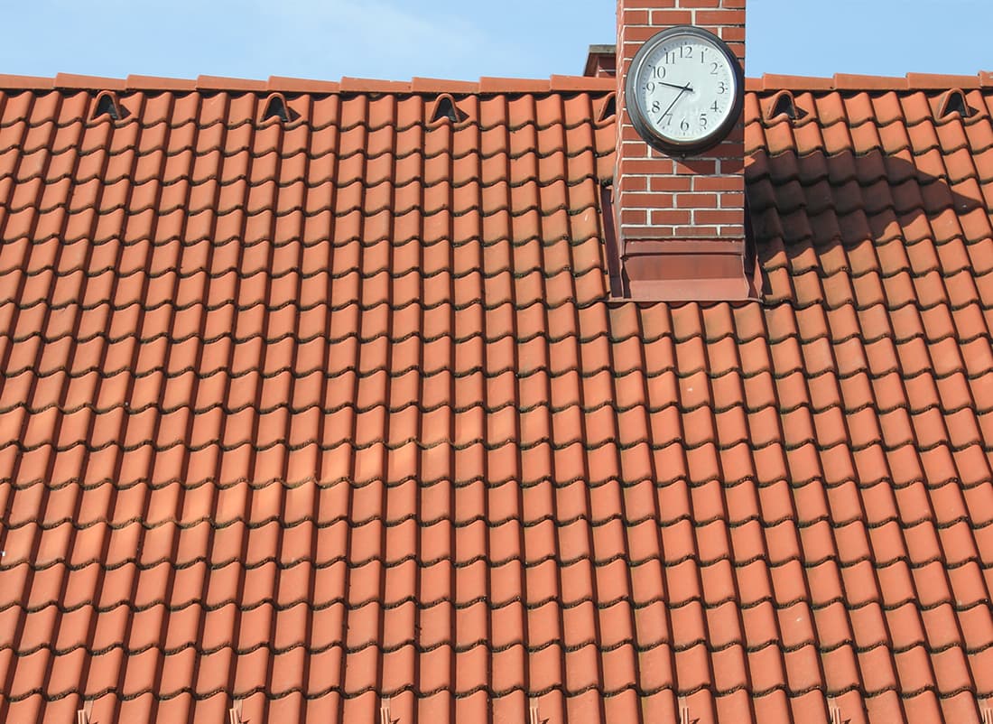 Dachreinigung Dachmax Nahaufnahme nachher